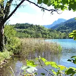 Hubertus Am Thumsee - Ruhe Fruehstueck Und Alpenpanorama 3*