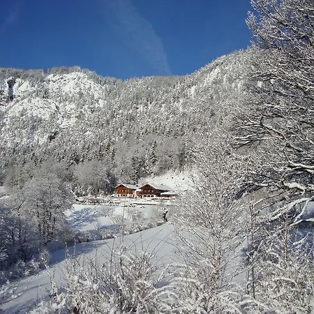 Hubertus Am Thumsee - Ruhe Fruehstueck Und Alpenpanorama 3*